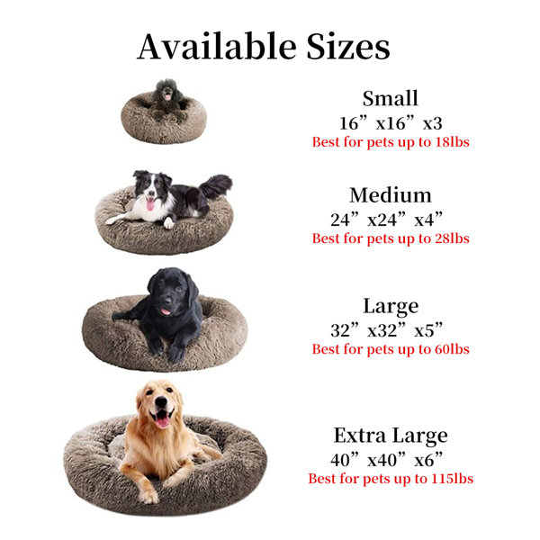 Tucker Murphy Pet™ Donut Calming Pet Bed & Reviews Wayfair
